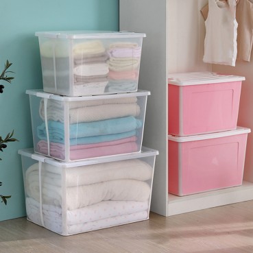 Clear Foldable Storage Box - 57L